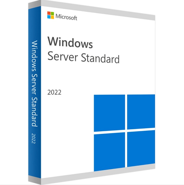 Microsoft Windows Svr Std 2022 64Bit Francais 1pk DS