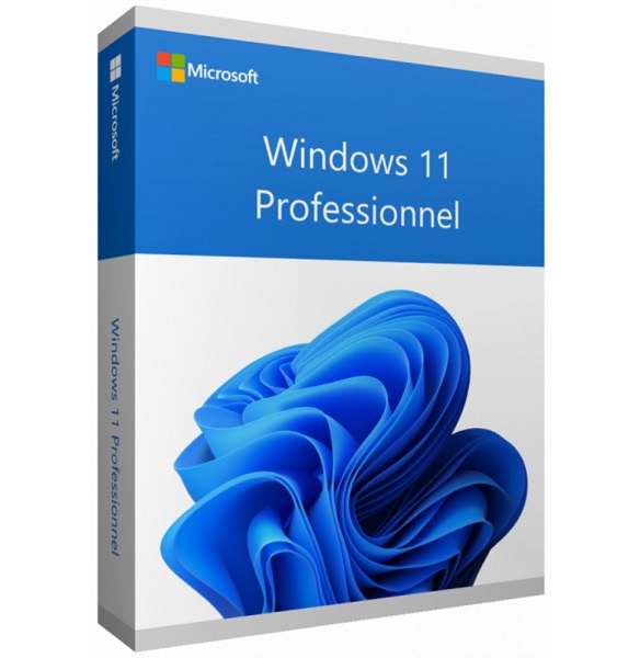 Microsoft Win 11 Pro 64Bit Francais 1pk DSP OEI DVD